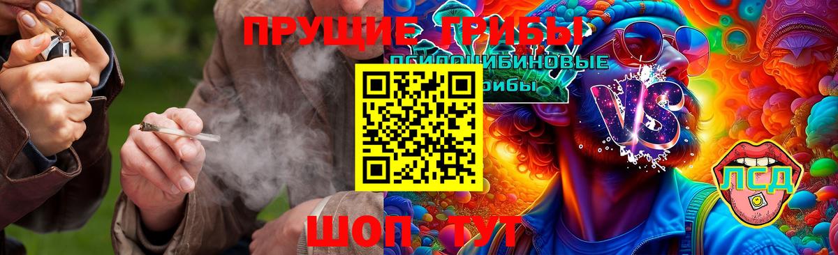 Галлюциногенные грибы Psilocybine cubensis  Вход с VPN  Киржач 